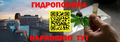дмт Шебекино